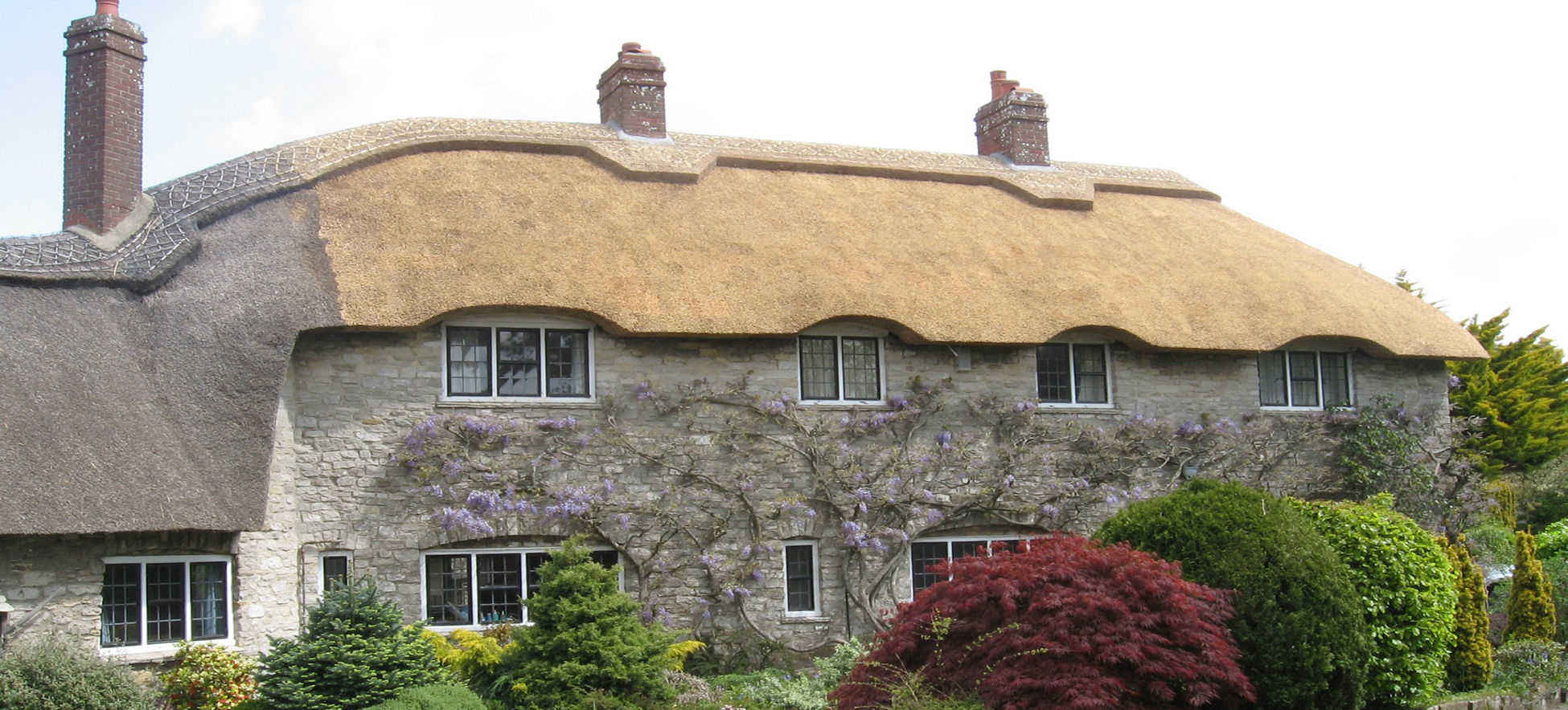 Thatching Specialists