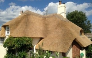 Thatched Roof Construction Dorset