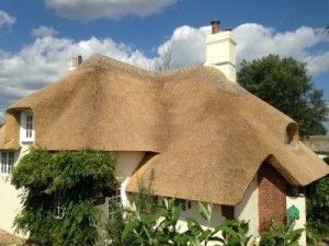 Thatched Roofing in Salisbury